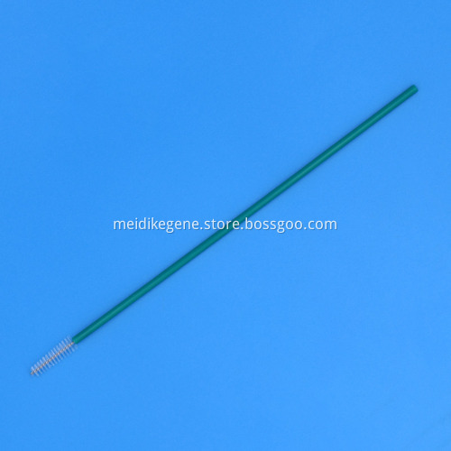 Disposable Medical Sterile Cervical Cytology Brush for Pap Smear